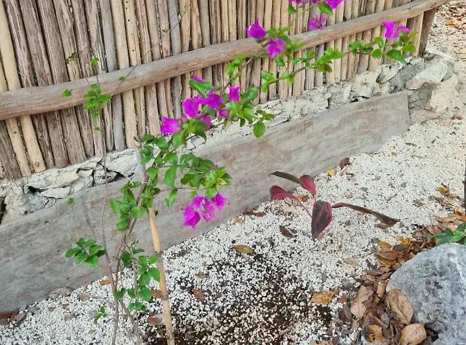 Aldea Yuyu Acomodação com café da manhã  Tulum