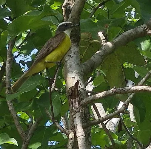 Aldea Yuyu Acomodação com café da manhã  Tulum