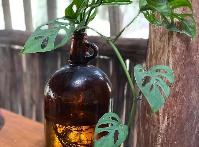 Aldea Yuyu Tulum